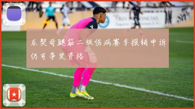 东契奇腿筋二级伤病赛季报销申诉仍可争奖资格